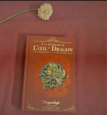 A la recherche de l’œil du dragon