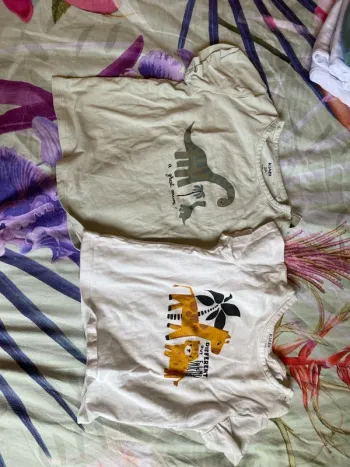 Lot deux T-shirt 2 ans 92 cm 12kg