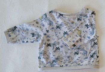 Sweat leger Tape à l'œil dinosaure