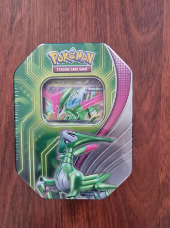 Pokebox Pokemon vert de fer ex