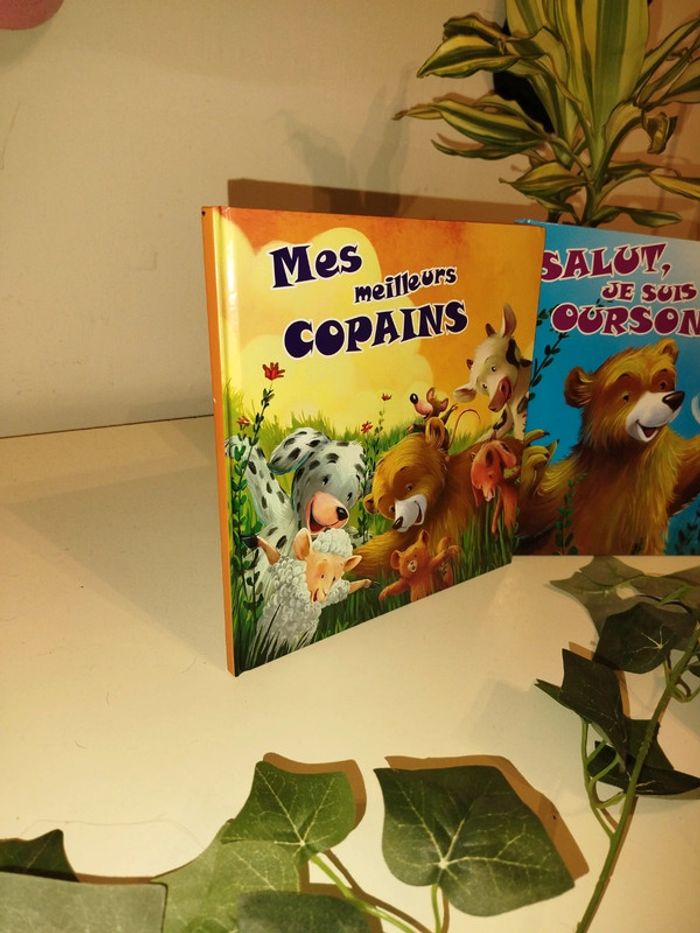 Livre salut les copains lot 2 livres - photo numéro 3