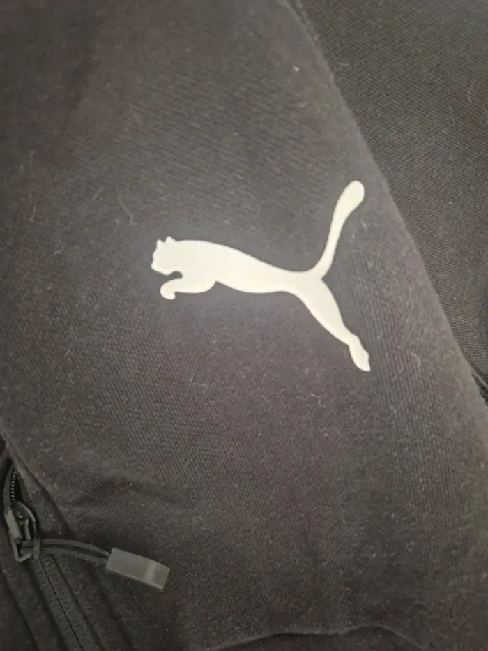 Veste sport puma - photo numéro 2