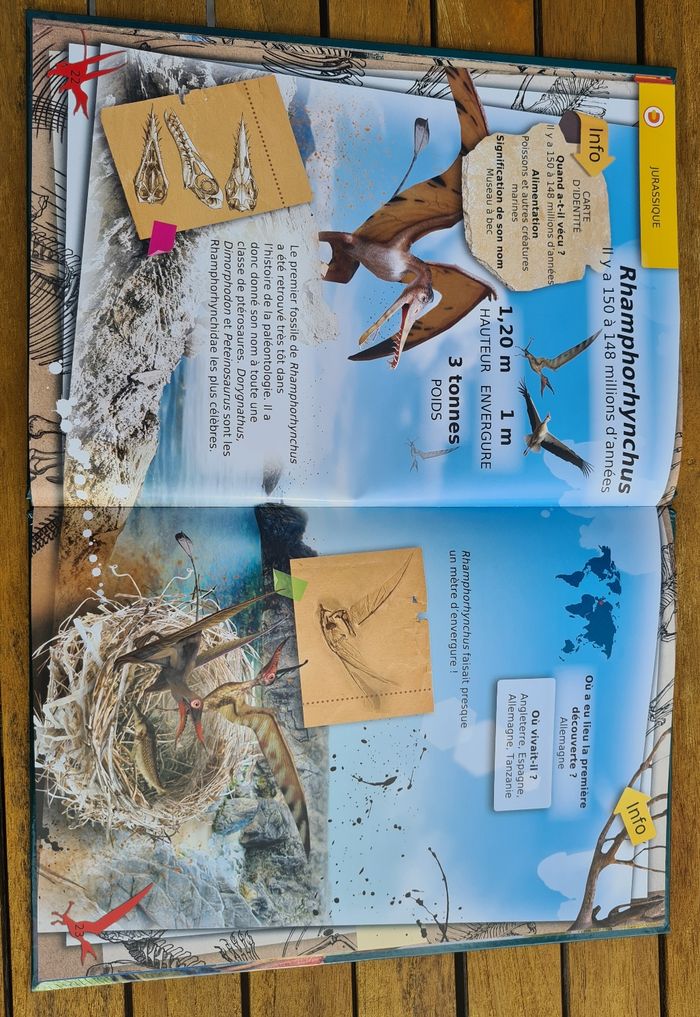 Les dinosaures - photo numéro 5