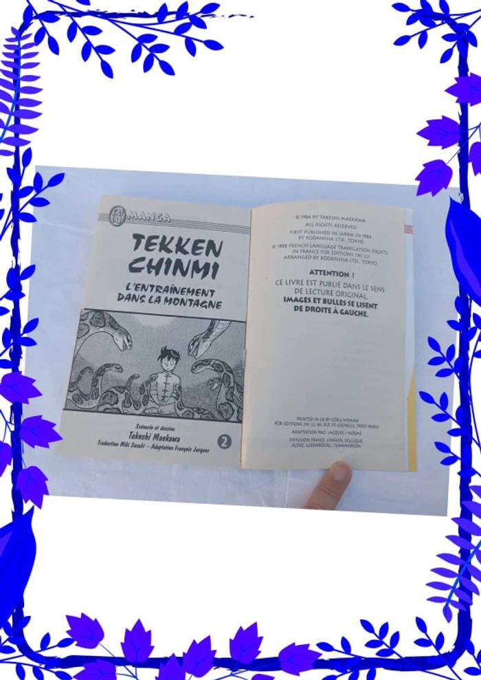 Tekken Chinmi : L'entraînement dans la montagne - photo numéro 2