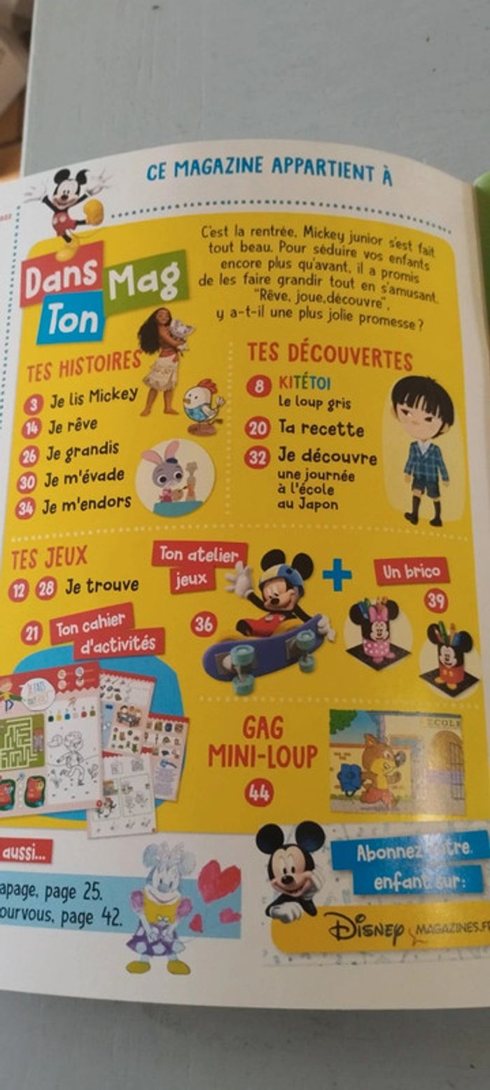 Mickey junior - photo numéro 3