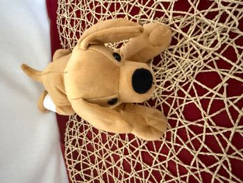 Chien beige - NiCOTOY