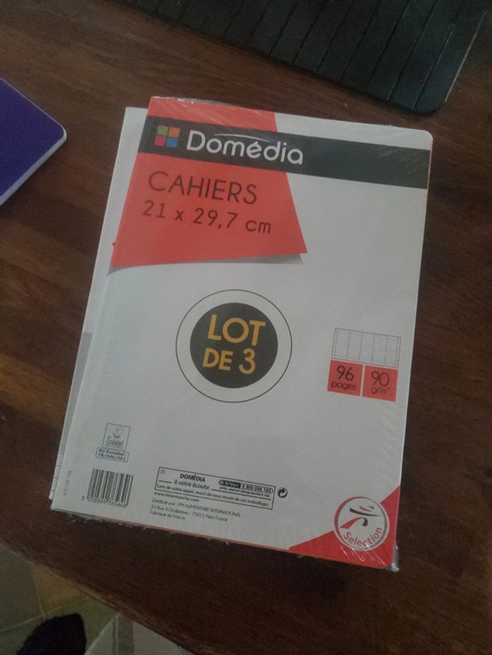 Lot de 4 cahiers 21x29.7 96 pages