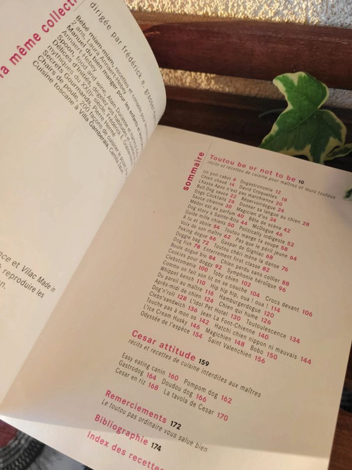 Livre de recette "Mon chien fait recette" - photo numéro 10