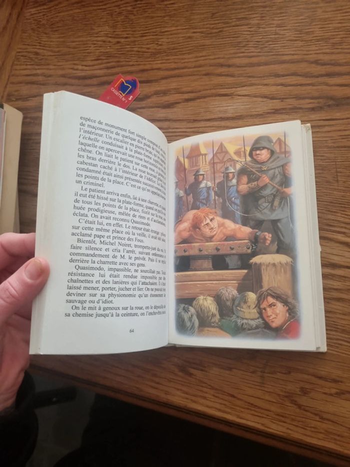 Notre Dame de Paris Victor Hugo - photo numéro 7