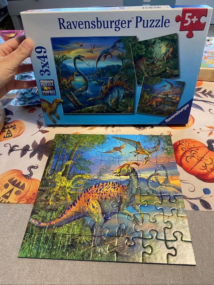 Puzzles dinosaures - photo numéro 3