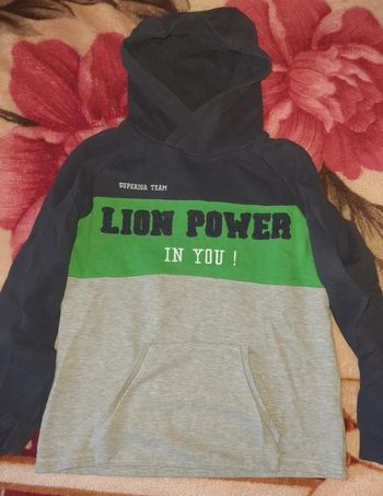 Sweat à capuche molletonné garçon 12 ans - XXS