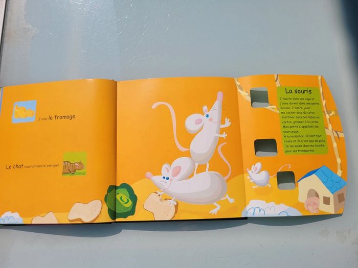 Les devinettes des P'tits incollables 🐈 Trouvinettes 🐹 Les Animaux de la maison 🐢 (90) - photo numéro 6