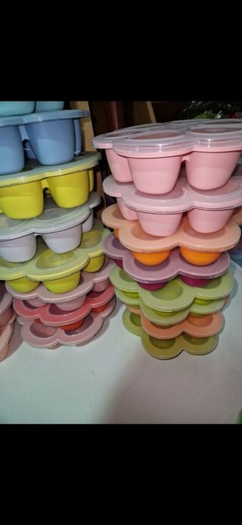 Fleur de congélation multiportions beaba