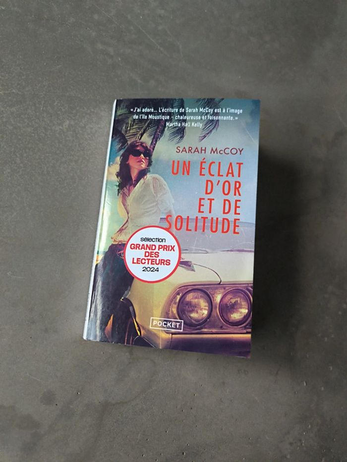 Un éclat d'or et de solitude - photo numéro 6