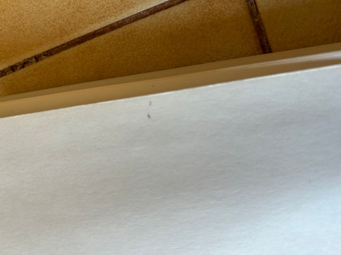 Le pacte des Marchombres - Ellana - photo numéro 5