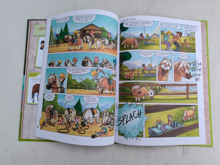 Livre À cheval Delcourt - photo numéro 5