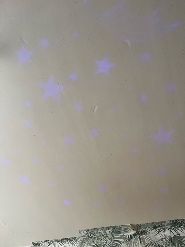 Licorne veilleuse - photo numéro 7