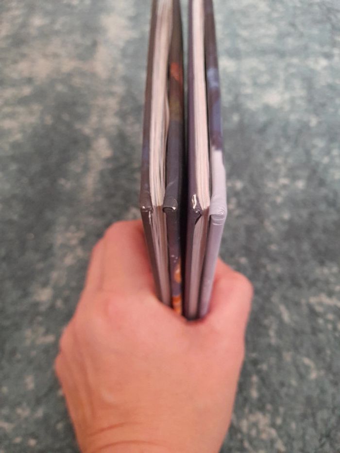 Lot livre cd disney raiponce + 101 dalmatiens - photo numéro 8