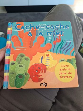 Livre à la mer avec des tirettes