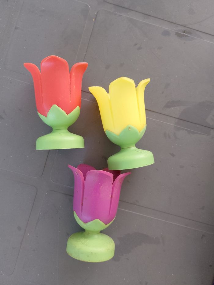 Trois coquetiers fleurs - photo numéro 2