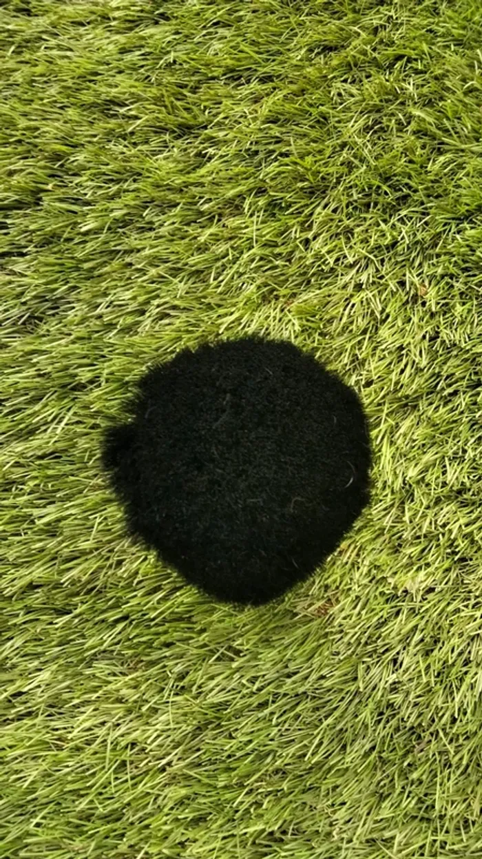 Balai à cou - photo numéro 2