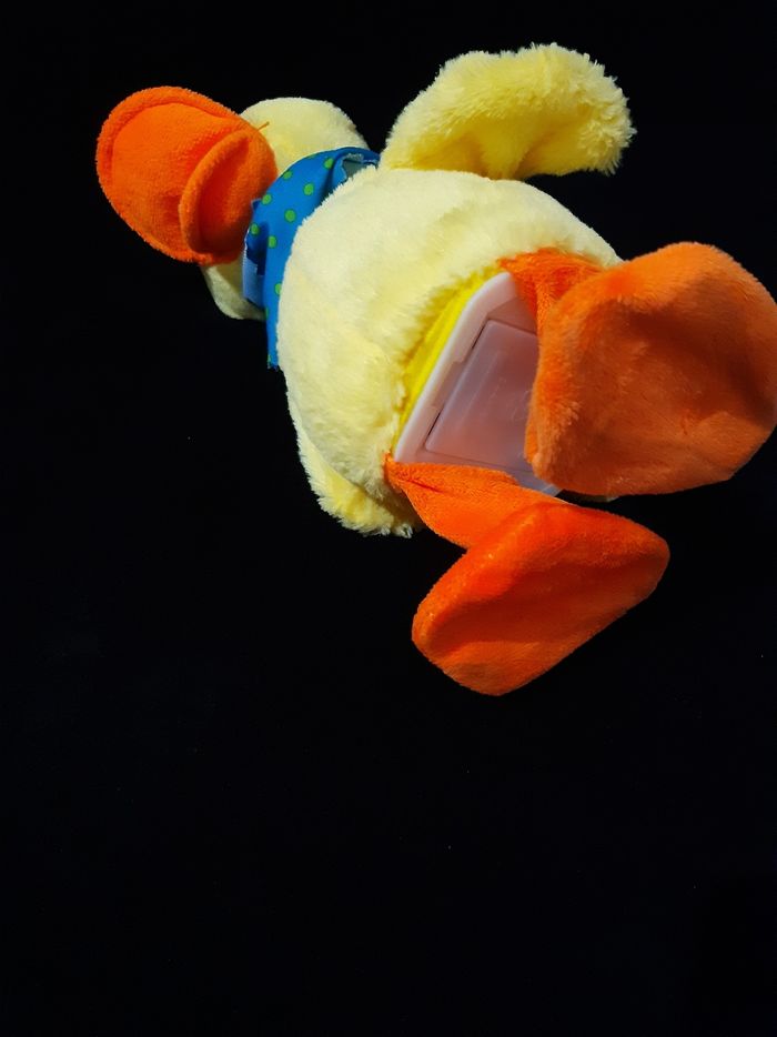 Canard chante et danse - photo numéro 3