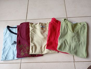 Lot de 5 tee shirts manches courtes taille 46/48 femme