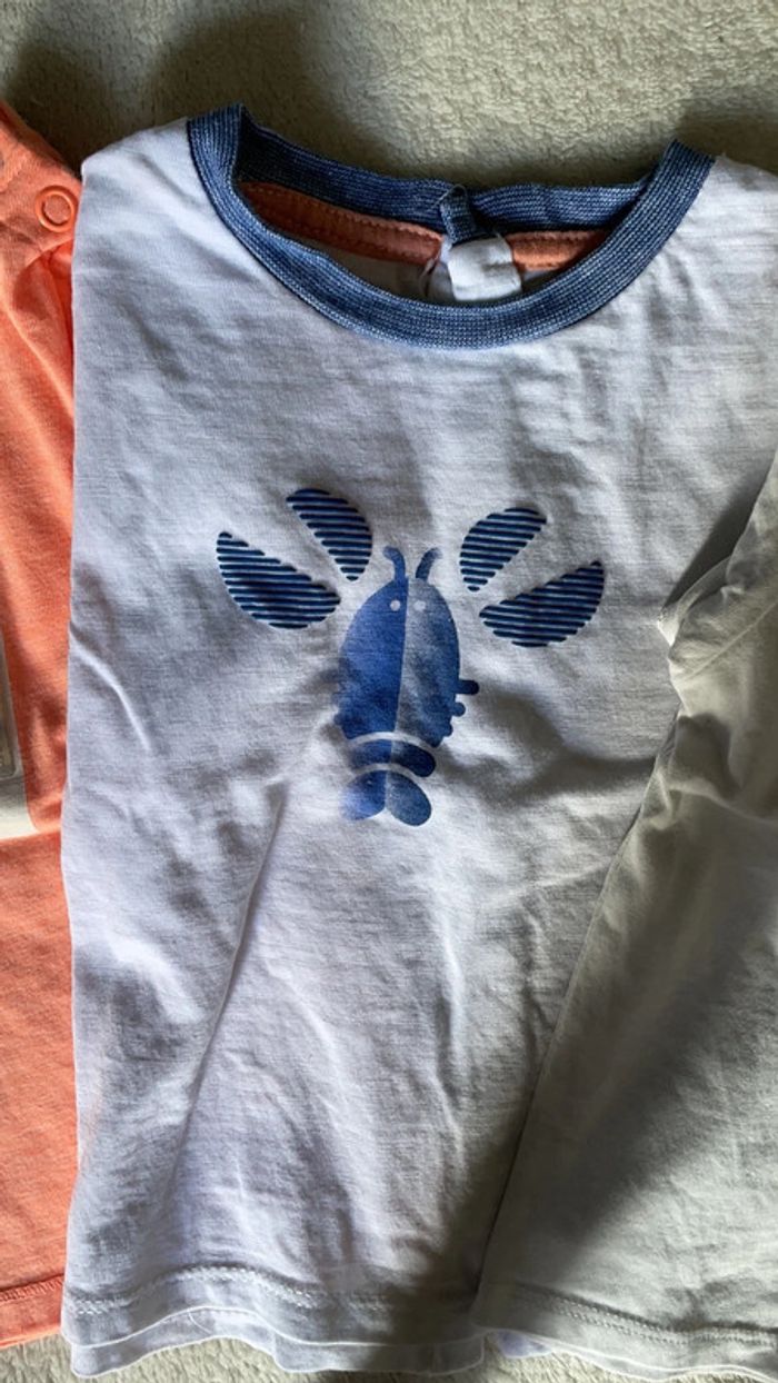 Lot tee-shirts 9 mois - photo numéro 3