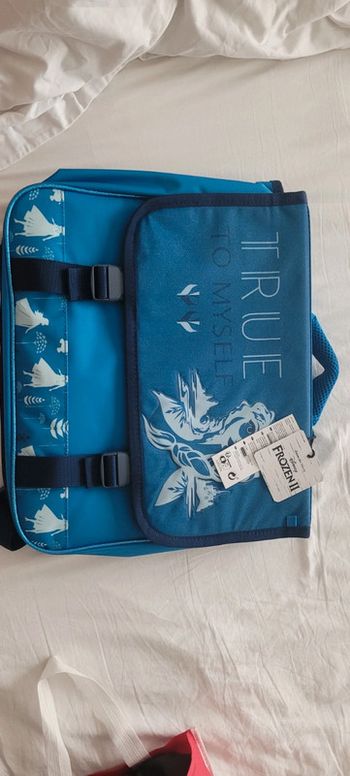 Cartable reine des neiges