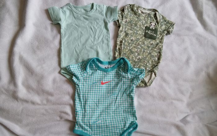 Lot bodies 6M