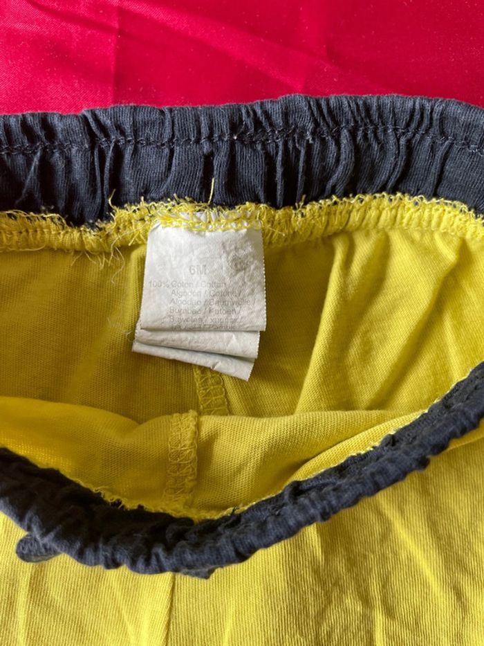 Short léger - photo numéro 5