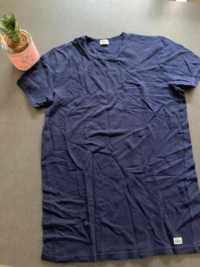 Lacoste tee shirt vêtement homme taille L 5 - photo numéro 2