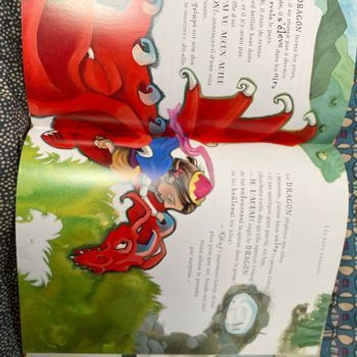 Grand livre 6 histoires de princesses pas comme les autres Rouge et Or - photo numéro 7