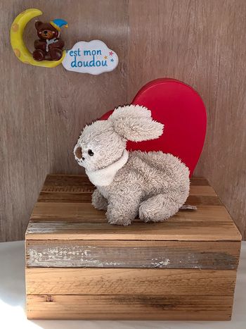 BK70 doudou lapin 🐰  Bukowski