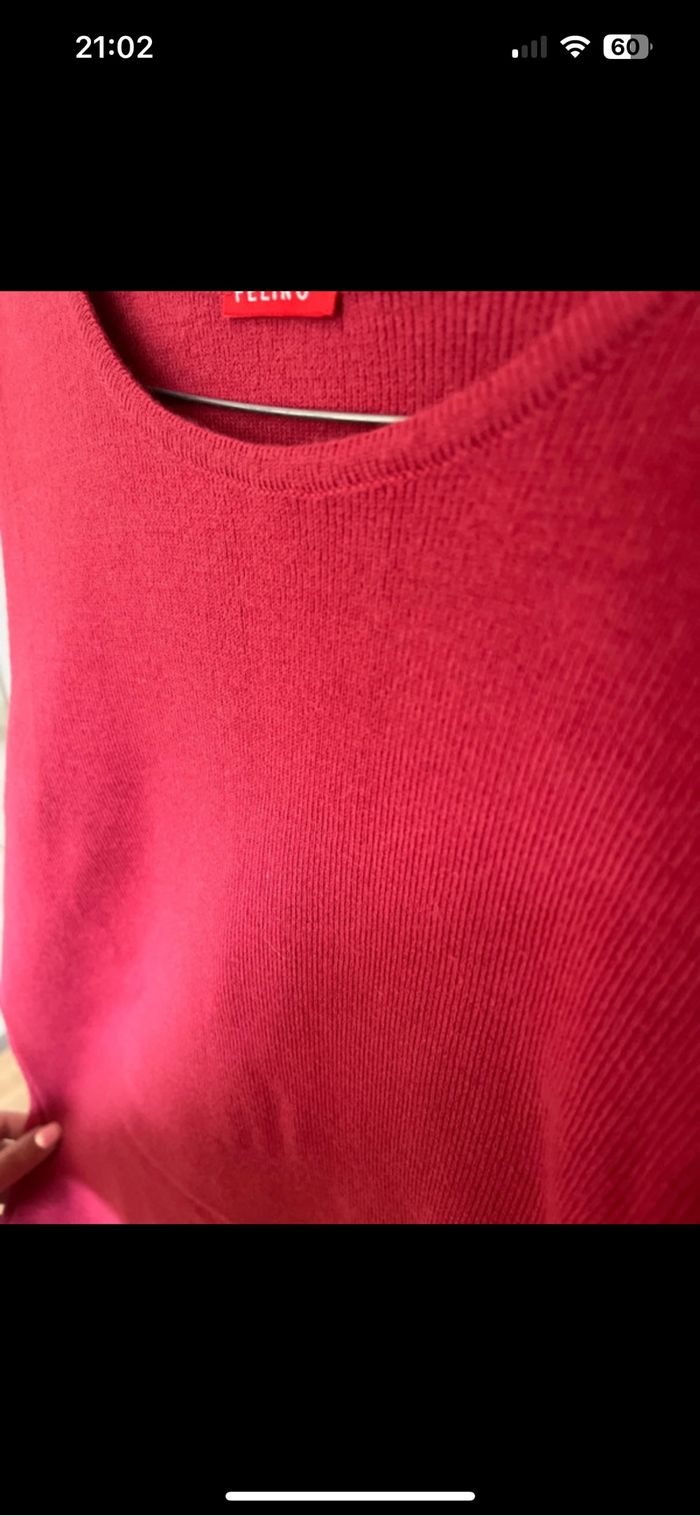Pull felino - photo numéro 4