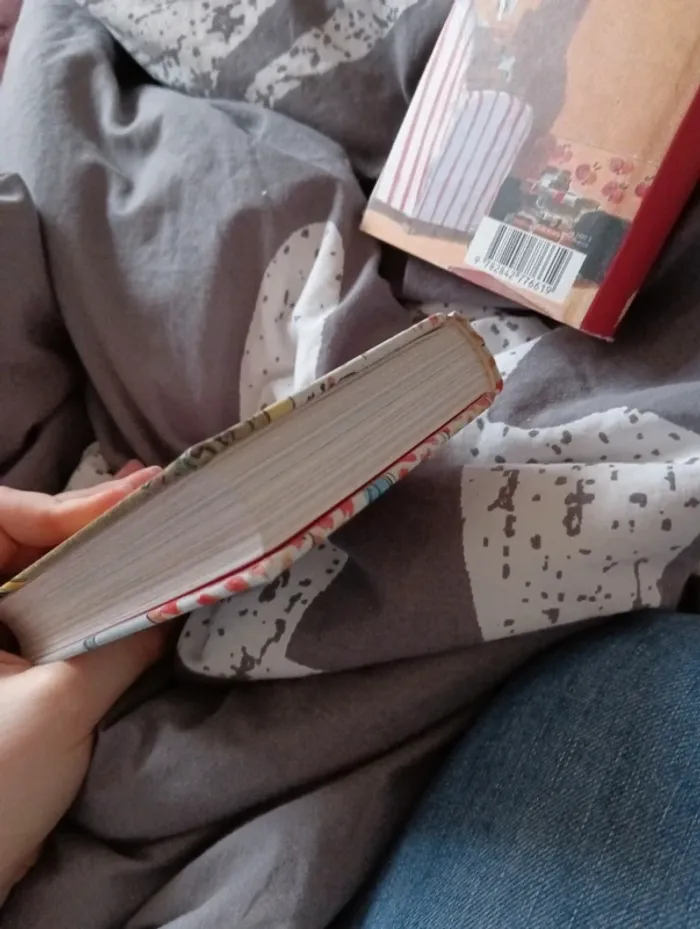 Livre "les malheurs de Sophie comtesse de Ségur " - photo numéro 15