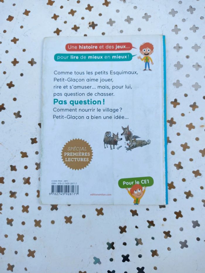 Livre petit glaçon - photo numéro 2