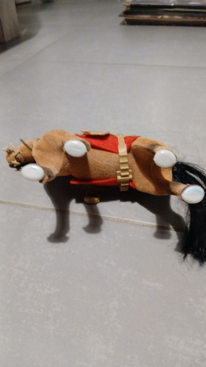 Cheval - photo numéro 3