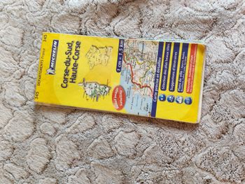 Corse-du-Sude, Haute-Corse, carte précise et détaillée N°345 Michelin, 2008