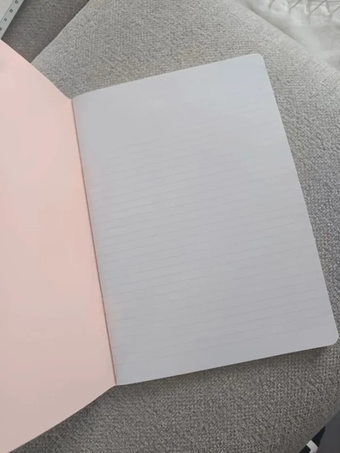 Cahier tu déchires tout - photo numéro 3