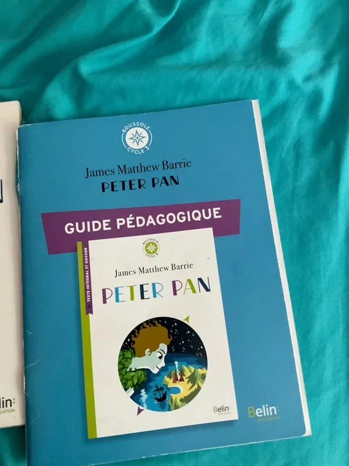 Livre et guide pédagogique enseignant Peter pan - photo numéro 3
