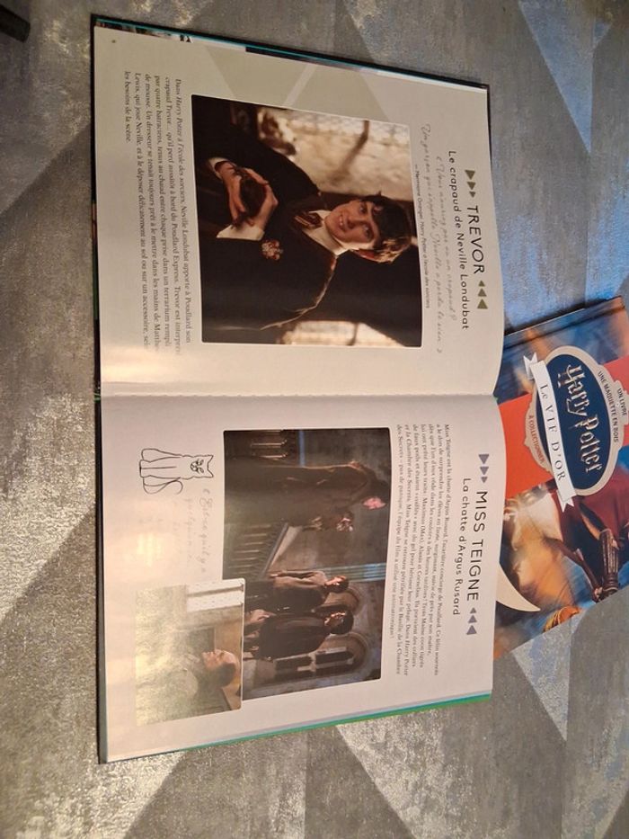 2 livres harry potter - photo numéro 5