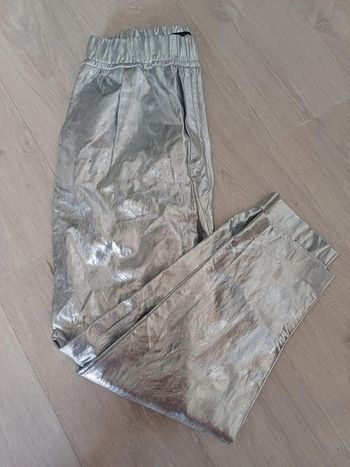 Pantalon argenté