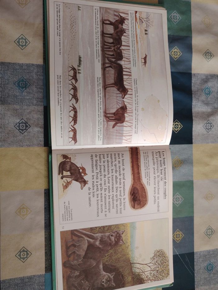 Livre sur le loup - photo numéro 16