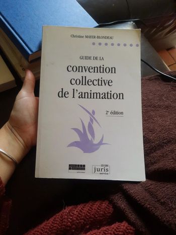 Ĺivre guide de la convention collective de l'animation pr d