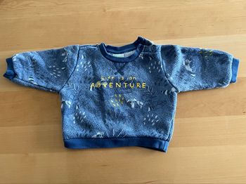 Pull jungle 6mois