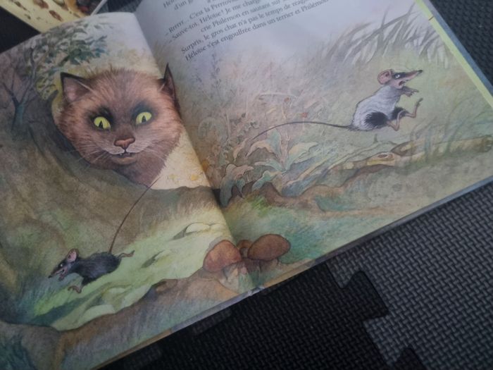 Livre enfant (Mon Héros ) - photo numéro 9