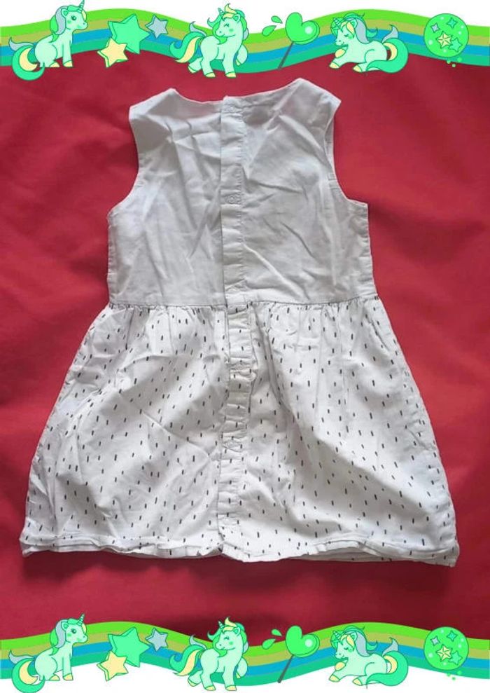 Robe 🐈 - photo numéro 4