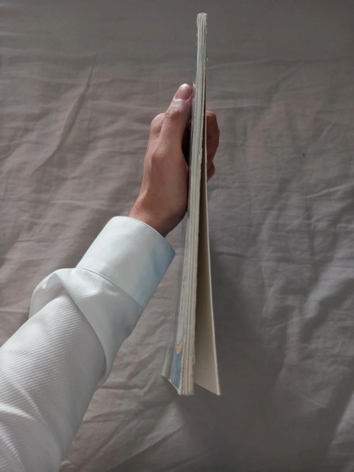 Le corbeau dans la neige - photo numéro 5