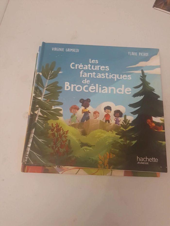 Lot de 6 livres merveille de france - photo numéro 5